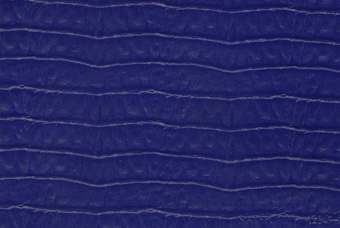 Assumenda accus antium